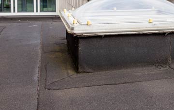 disadvantages of Ballyneaner flat roofs