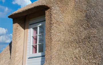 Ballyneaner thatch roof disadvantages