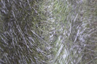 Ballyneaner fibreglass roof work