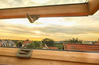 rated Ballyneaner roof window companies